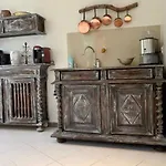La Cactee Singuliere
