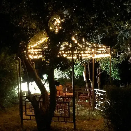 La Cactee Singuliere לינה וארוחת בוקר בזייה