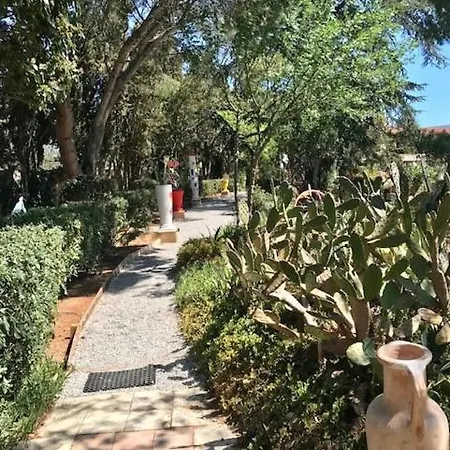 La Cactée Singulière Bed and breakfast