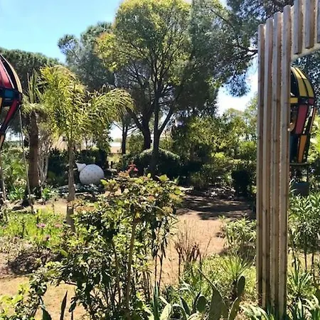 La Cactee Singuliere Panzió 4*