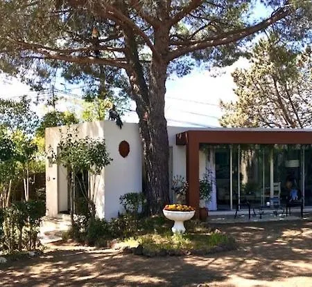 La Cactée Singulière Bed and breakfast Béziers