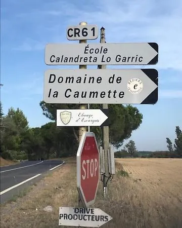 La Cactee Singuliere B&B